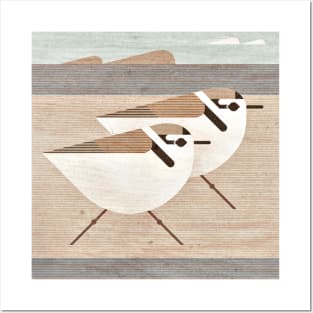 Snowy Plover Posters and Art